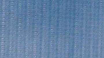 Pamela Anderson dice que en Hollywood todos deberían utilizar el sentido común.