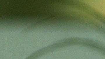 George H.W. Bush y Barbara Bush