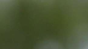 Se conoce la verdad de ciertas cifras que utiliza el gobierno para justificar su agenda migratoria