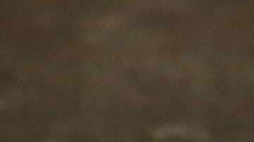 “Se trata de un asunto de humanidad y no se puede permitir”