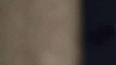 El presidente Trump en el Congreso.