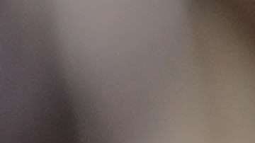 La versión del propietario del bar es distinta a la del seguidor de Trump