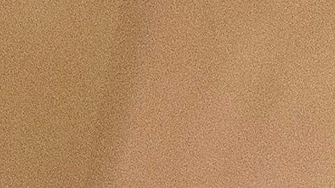 Nikki Haley ha sido una de las funcionarias favoritas de Trump.