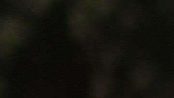 Activistas han aumentado las acciones contra el racismo