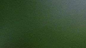 Kelly tachó de "patraña total" la información de NBC News