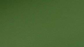 Fuentes cercanas a la primera dama aseguran que es su hijo Barron la única razón para estar con Trump