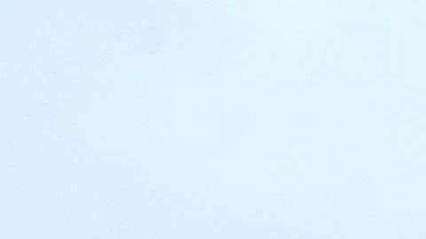 El objetivo del presidente es enviar ayuda a la Patrulla Fronteriza.