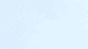 El objetivo del presidente es enviar ayuda a la Patrulla Fronteriza.