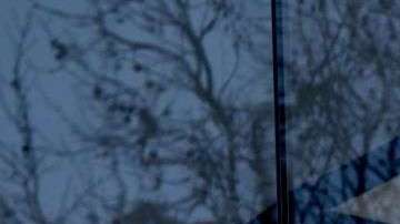 El local en Grand Central fue cerrado brevemente