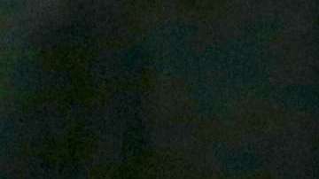 Nikolas Cruz en corte.