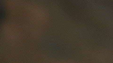 Trump vuelve a prender los rumores del despido del fiscal especial Robert Mueller