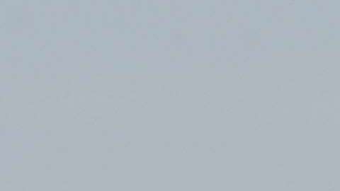 Manifestantes atacaron su custodiado Trump International Golf Club de Florida