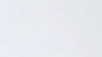 No se ha confirmado si la Primera Dama irá sola o con el presidente Trump al funeral de Bárbara Bush.