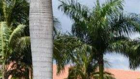 El Trump National Doral es muy usado por Republicanos.  MICHELE EVE SANDBERG/AFP/Getty Images