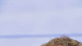 Zuckerberg declaró ante el Congreso esta semana y respondió a preguntas sobre el escándalo más grande hasta la fecha en la historia de Facebook.