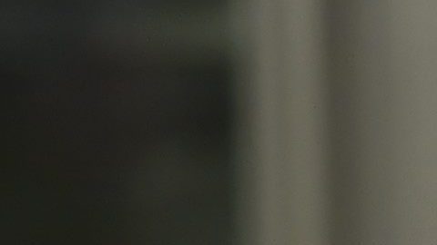 Balarezo (izquierda) junto a la esposa de "El Chapo", Emma Coronel, hablan con la prensa.