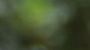 El presidente Trump también pidió más acciones a la secretaria Nielsen sobre "caravana migrante".