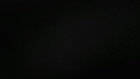 El presidente Trump durante su mitin en Michigan.