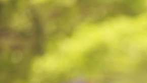 Del total de extranjeros, 222 provinieron de México, 187 de Colombia, 155 de Brasil, 130 de Chile, 73 de España, 63 de Argentina, y 56 de Perú