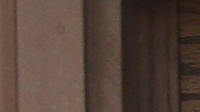 También prohíbe a empleados públicos indagar sobre el estatus migratorio de las personas