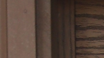 También prohíbe a empleados públicos indagar sobre el estatus migratorio de las personas