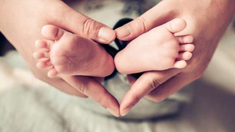 La llegada del retoño es mejor si la preparas. Shutterstock