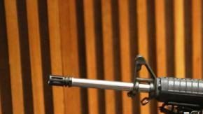 Confiscaron un arsenal de 71 armas de fuego, incluidos 45 rifles, escopetas y rifles de asalto