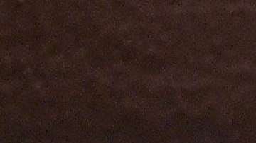 El actor estadounidense Rob Schneider es un gran aficionado de los Tigres UANL