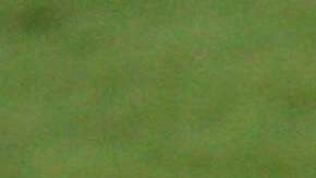 Tigres reciben a Monterrey, en duelo correspondiente a la fecha 17 del Clausura 2018