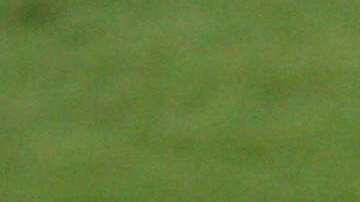 Tigres reciben a Monterrey, en duelo correspondiente a la fecha 17 del Clausura 2018