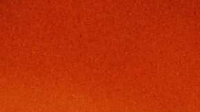 Jesse Marsch, técnico de New York Red Bulls