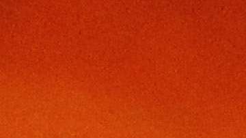 Jesse Marsch, técnico de New York Red Bulls