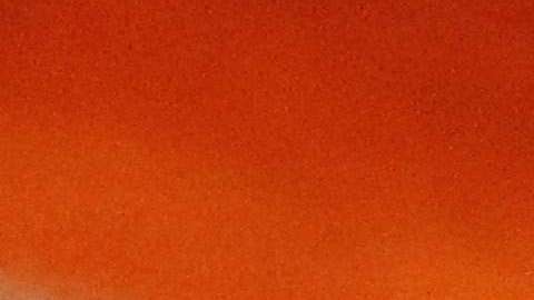 Jesse Marsch, técnico de New York Red Bulls