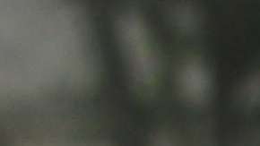 Centenares de activistas de la comunidad musulmana y pro-inmigrante marcharon frente al Hotel Trump en Washington el año pasado para denunciar la veda a inmigrantes musulmanes. Foto: María Peña/Impremedia