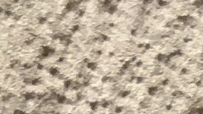 Abogados y líderes adviertes que seguirán en pie de lucha con marchas y plantones hasta que se le ponga freno a ‘La Migra’ en las cortes