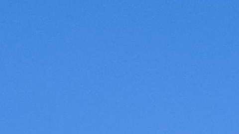 Basta de destruir el planeta.