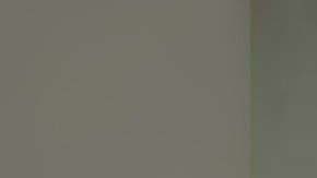 Kenneth Lijah Duyck admitió agresión sexual a un animal y robo