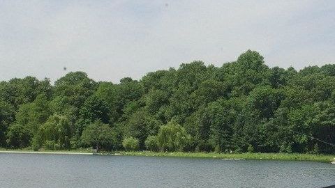 Un caminante hizo el hallazgo en Kissena Park