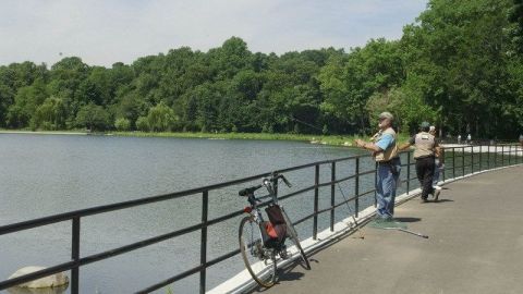 Un caminante hizo el hallazgo en Kissena Park