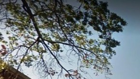 El cuerpo fue hallado en Lurting Avenue con un golpe en la cabeza