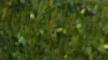 Madonna habló de su hijo Rocco.