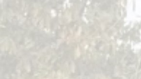 El caso ocurrió en California.