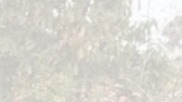 El caso ocurrió en California.