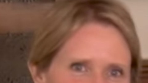Cynthia Nixon y Carlos Menchaca anunciaron en un video el apoyo.