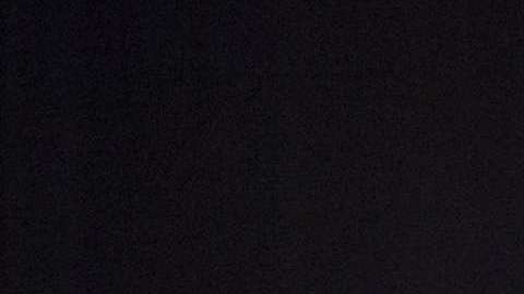 Boneta logró un increíble parecido con Luis Miguel.