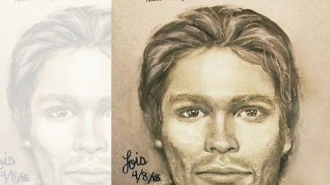 Los derechos del boceto son del abogado de Daniels, Michael Avenatti.