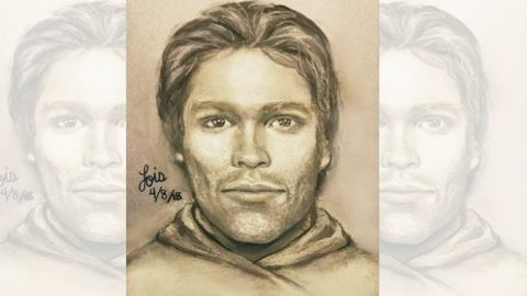 Los derechos del boceto son del abogado de Daniels, Michael Avenatti.