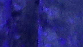 Michelle Obama compartió una imagen en sus redes sociales.