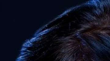 "Teresa", "El Señor de los Cielos" y "Rubí" son algunos de los títulos que ofrece la plataforma digital