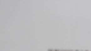 Ninel Conde siempre polémica.